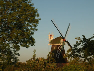 Zingst2010 002