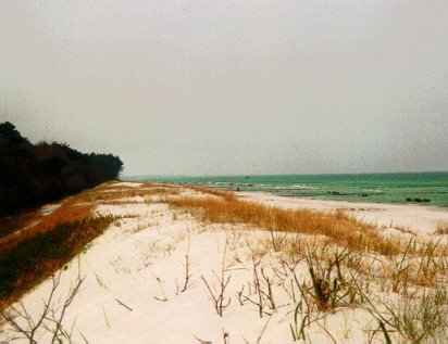 StrandZingst